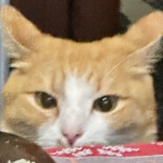 ♕