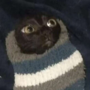 skieta