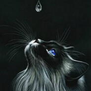 _Black_Cat
