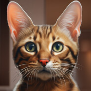 Cat Life Simulator