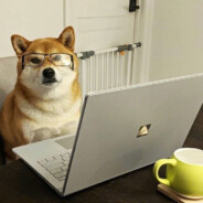 Dogsssiii