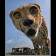 Avatar de la communauté Steam