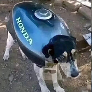 descer lá embaixo