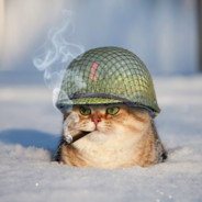 Sgt. Cuddles