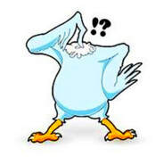 TheHeadlessChicken