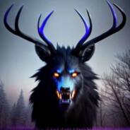 vectorkalo