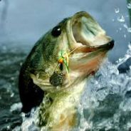 Fishy
