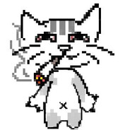 обкуренный кот