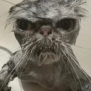 Schmeeblorp