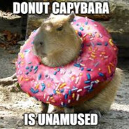 Alys Capybara