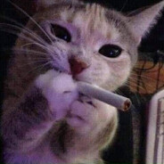 asdzxcdujgxgjcsgvfjcy