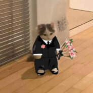 fobiadegato