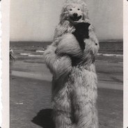 Avatar de la communauté Steam