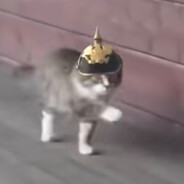 Löwe