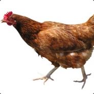 ^Pb | chicken
