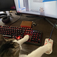 Steam Community Avatar