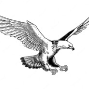 tomashol2468