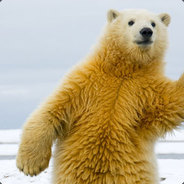 PolarBro