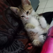 Alondra:D