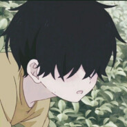 屿