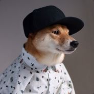 KISOL