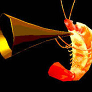 FederalShrimp