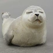 Foka