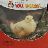 PintoValouro