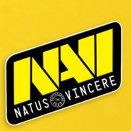 Nepovinka