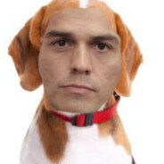 Perro Sanche