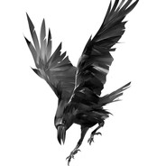 ¿Rook