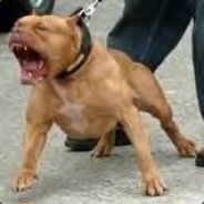 -WaR- Skiddy