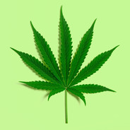 FreeMary
