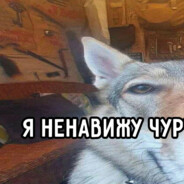 SHISHKA4
