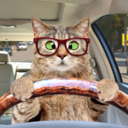 DasAutoCat