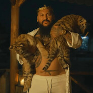 Sunt Tigrul Tau