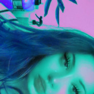 NotWolfie