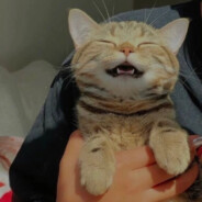 ❷❷