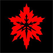 D@rkNet player avatar