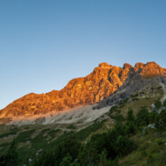 Hochvogel