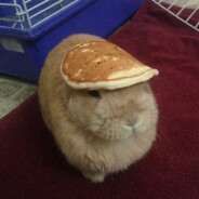 MyOhMyPancakes