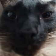 シグマ