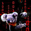 Koala Guy