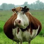 yungdaggerchode