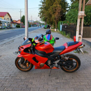 Iulian