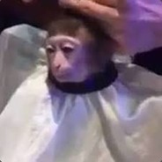 KaikeO