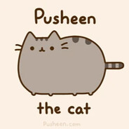 i am pusheen cat.