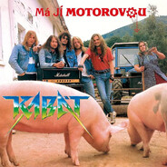 VOSKOP MANAŽER