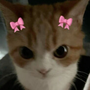 viksaaa