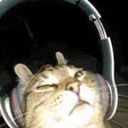 meow mcmeowson